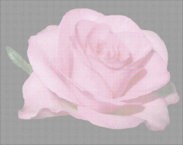 Абстрактна Векторна ілюстрація троянди — стоковий вектор