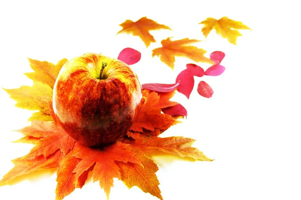 Elma ve yapraklar sonbaharda — Stok fotoğraf