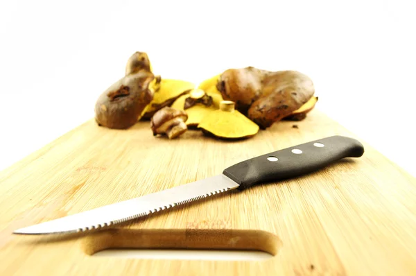 stock image Mushrooms