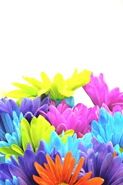 Daisy flowers in a vase — Stock Photo, Image