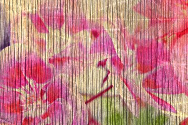 Pembe çiçek grunge