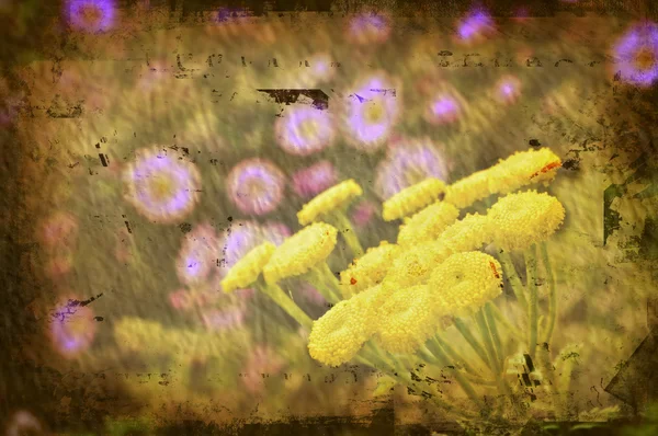 Blumen im Grunge — Stockfoto