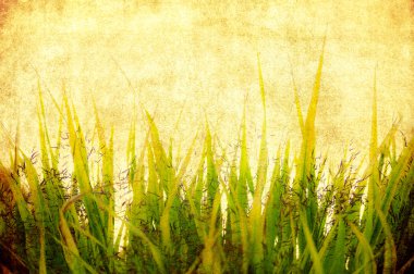 Grass background clipart