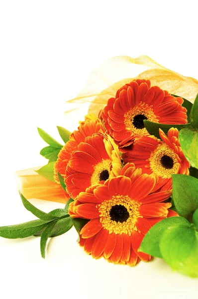 Gerbera bouquet — Stock Photo, Image