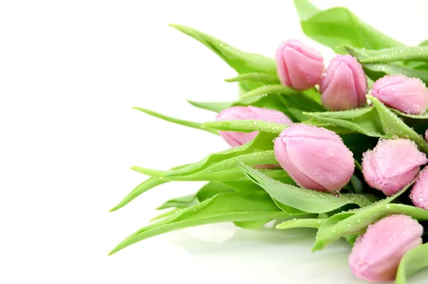 Bouquet Drop Pink Tulips Vase White Background — Stock Photo, Image