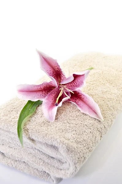 Asciugamani spa — Foto Stock