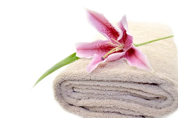Towels spa — Stock Photo, Image