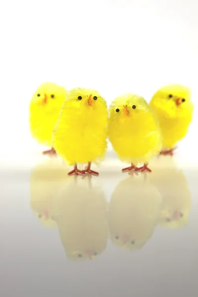 Kycklingar leksaker — Stockfoto