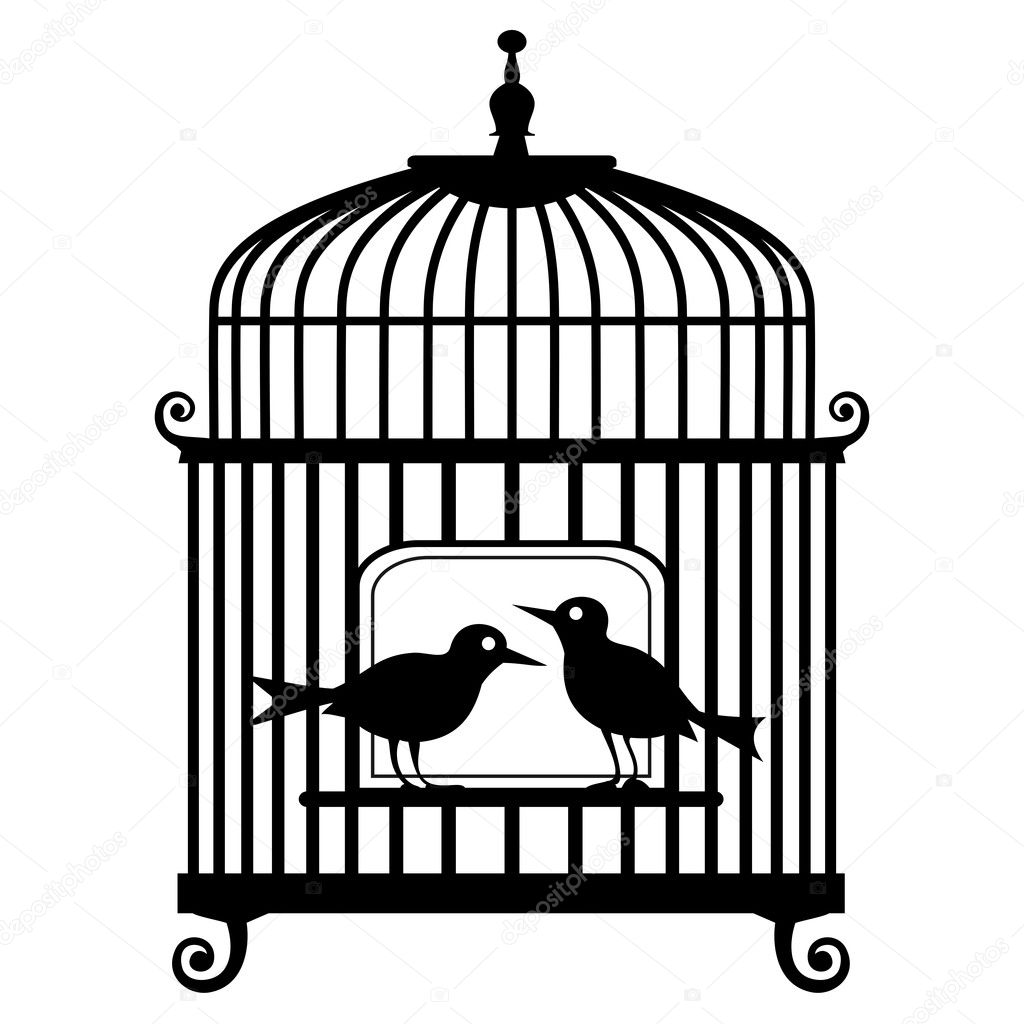 Vector birdcage