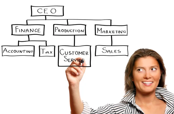 Jovem empresária apresentando uma hierarquia empresarial — Fotografia de Stock