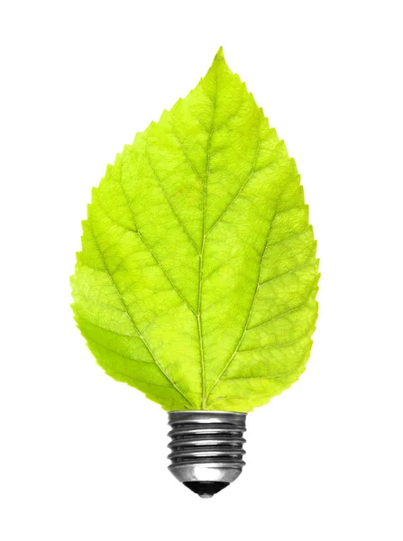 Leaf lampa — Stockfoto