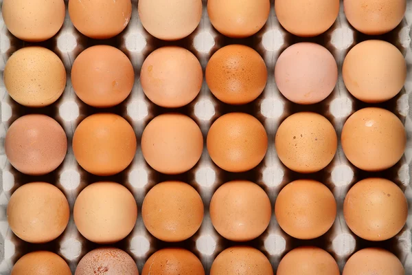 stock image 24 eggs in tray photo in top view