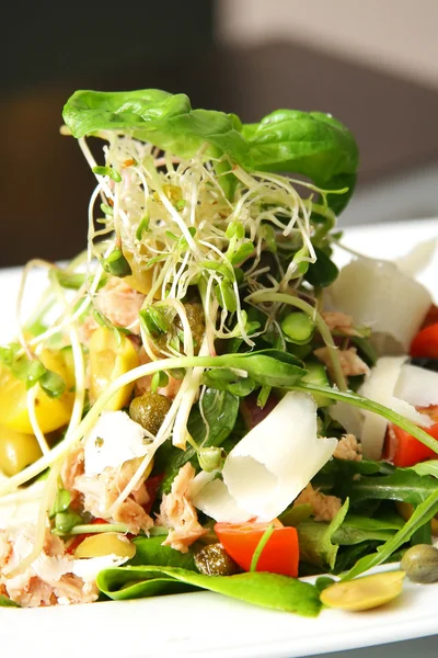 Салат из тунца — стоковое фото