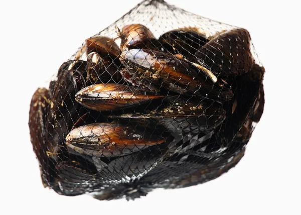 stock image A picture of a net of mussels over white background