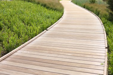 Wood path clipart