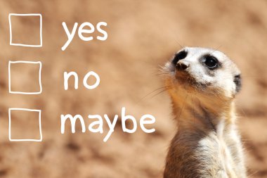 African suricate making decision clipart