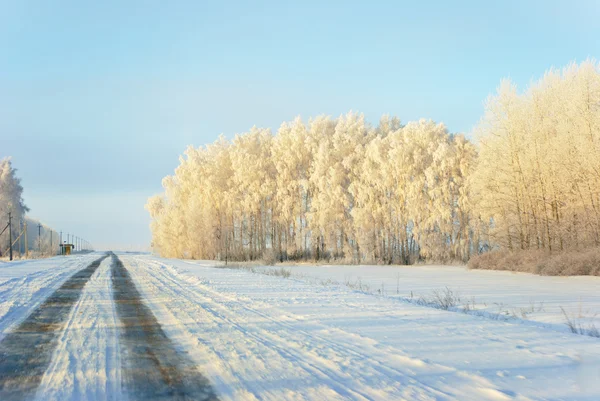 Kış güneşli gün: hoarfrost ve yol ağaçlar kar ile kaplı