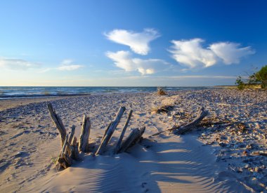 Landscape of Baltic seashore in western Latvia (Kurzeme) clipart