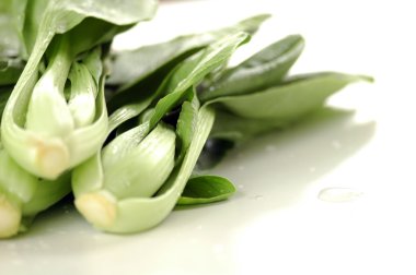 Çin Lahanası veya pak choi