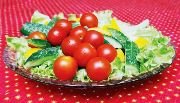 Gericht mit Gemüse — Stockfoto