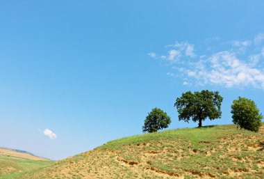 kırsal manzara