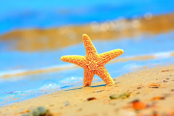 Starfish e onda do mar na praia tropical arenosa — Fotografia de Stock