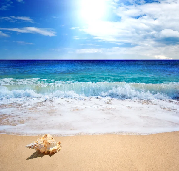 Zee landschap - gouden strand, zee, blauwe hemel en witte wolken — Stockfoto