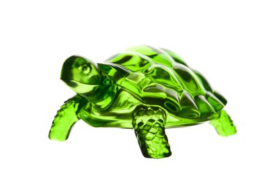 Feng shui turtle, beyaz zemin üzerine