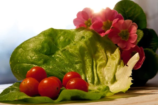 Crispy Salad — Stock Photo, Image