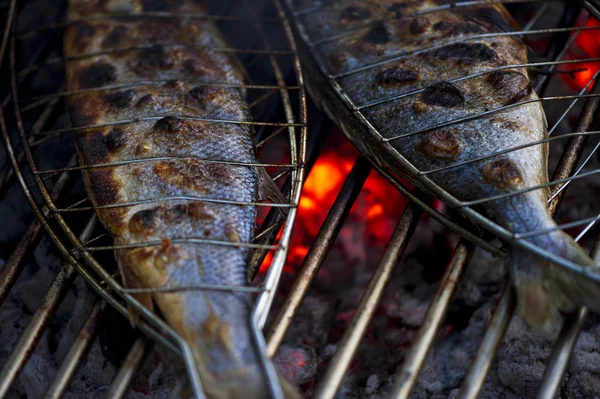 stock image Fish on grill