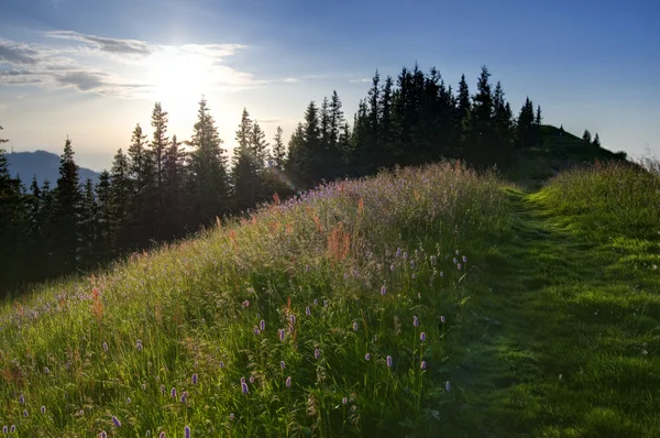 stock image Sunset in the mountains