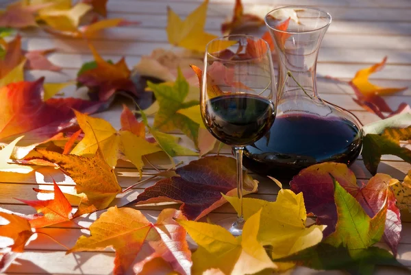 Wine & leafs — Stock Photo, Image