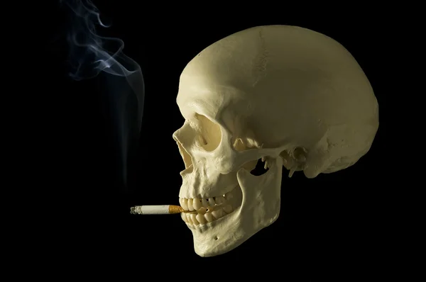 Totenkopf mit Zigarette lizenzfreie Stockfotos