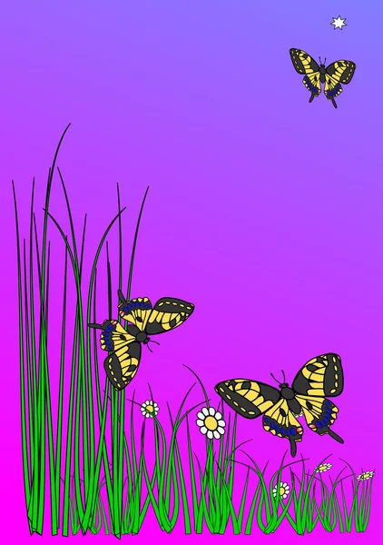 Três borboletas ao amanhecer, grama verde e a estrela da manhã ... — Fotografia de Stock