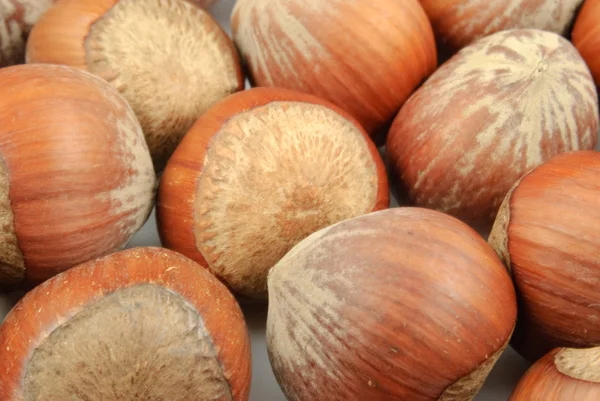 stock image Close-up of some hazelnuts