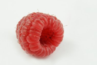 Tek ahududu (rubus idaeus Close-Up)