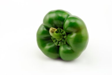 Tek yeşil dolmalık biber (Capsicum annuum)