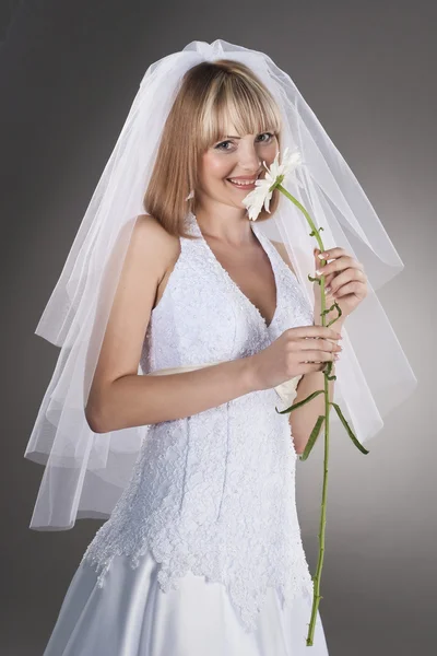 Mooie bruid met bloem — Stockfoto
