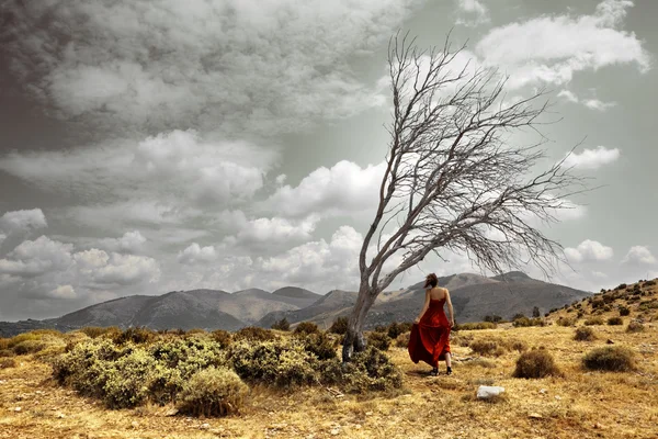 Landschap met meisje en boom — Stockfoto