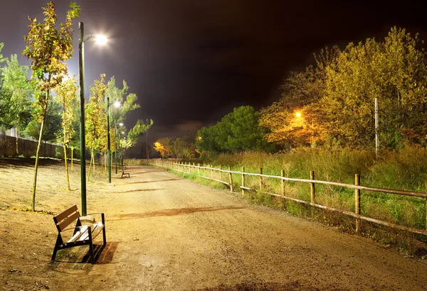 Ночной городской парк — стоковое фото