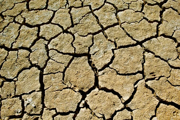Popękana gleby — Zdjęcie stockowe