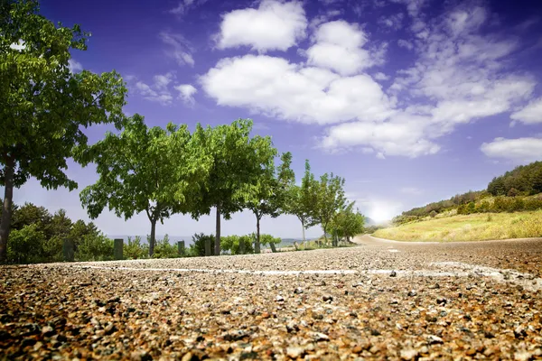 Paisaje con carretera y árboles — Foto de Stock