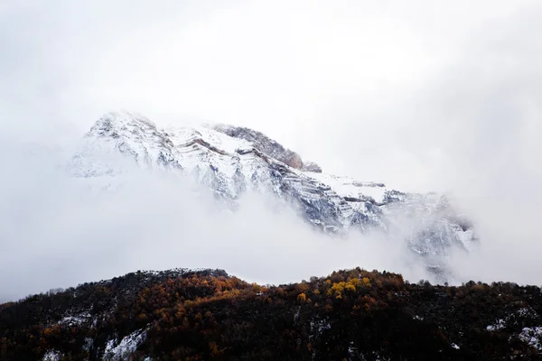 stock image Mountain detail