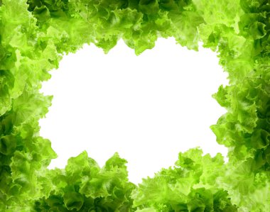 Fresh Green Salad frame clipart