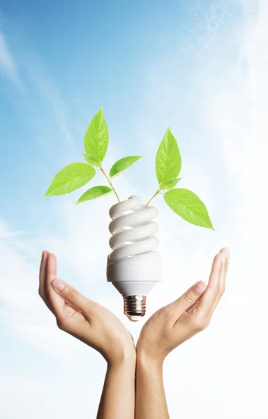 Lâmpada de poupança de energia nas mãos com folhas verdes — Fotografia de Stock