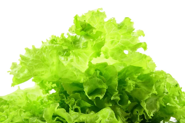 신선 한 녹색 샐러드 — 스톡 사진
