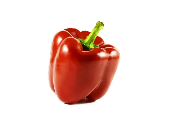 Färsk röd paprika på vit — Stockfoto