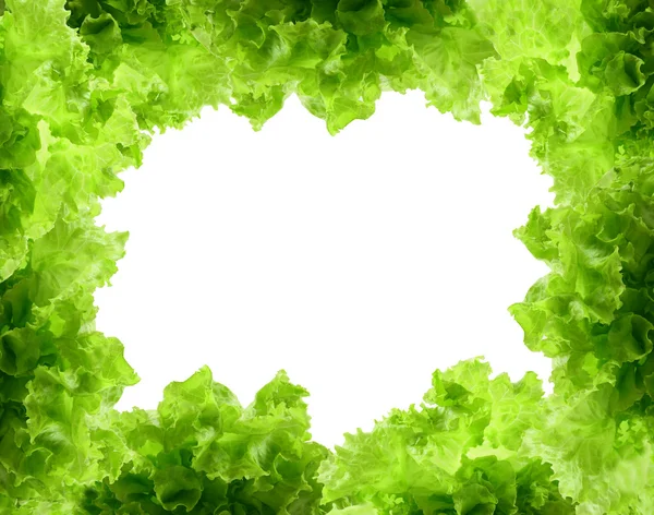 Verse groene salade frame — Stockfoto