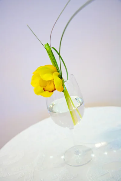 stock image Flower in vase