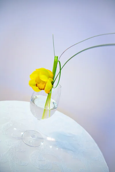 Stock image Flower in vase